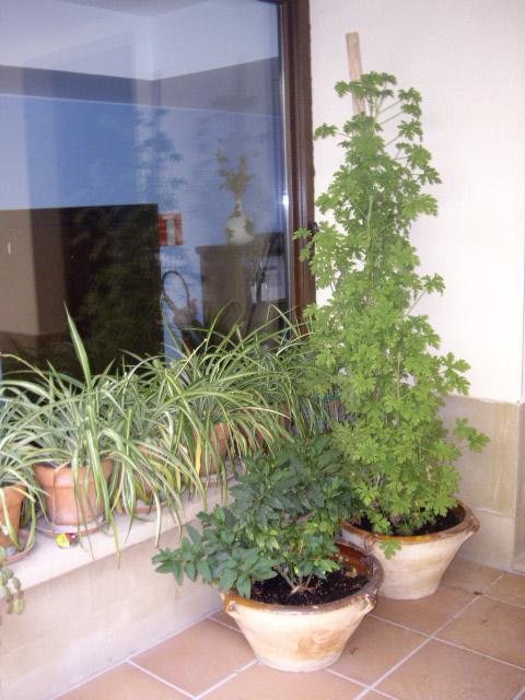 אלסייגו Casa Rural Rojanda מראה חיצוני תמונה